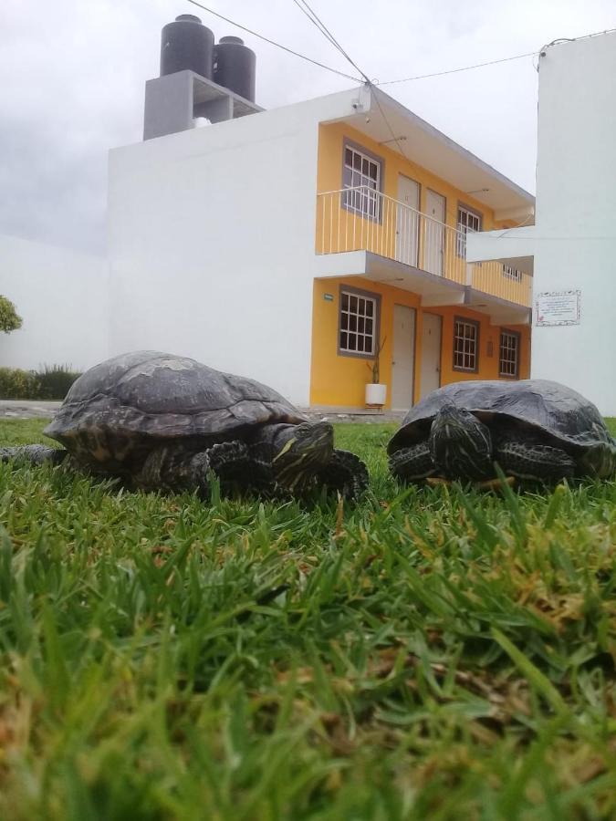 Posada Del Angel Pachuca Zewnętrze zdjęcie